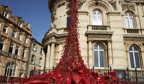Image of the poppies going down the side of a building